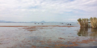 今日の琵琶湖 (by ビワエフ) 10月17日 3