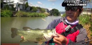 旧吉野川をスピナーベイトで攻略!!  (浦川正則) 3