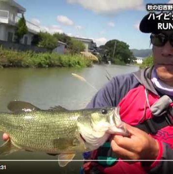 旧吉野川をスピナーベイトで攻略!!  (浦川正則) 3