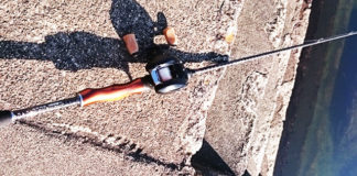 アームズチャレンジF3飛燕 (bv六文銭) 2015年 1