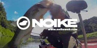 新作シャッドテールワームが発売!! (NOIKE) 3