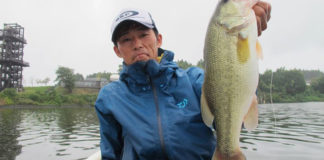 ダイブミノーで秋ダム湖を攻略!! (折金一樹) 2