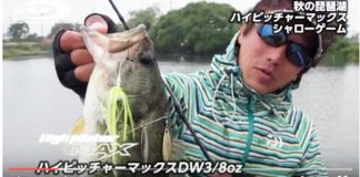 秋琵琶湖をスピナーベイトで攻略!! (三宅貴浩) 3