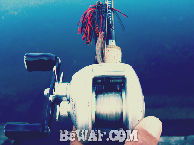 setagawa bass fishing chouka 2