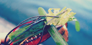 瀬田川へ (2015年 10日17日) 瀬田川ジグ pt.3 8