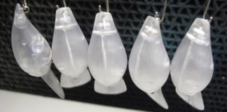 瀬田川へ (2015年 11月12日) 8