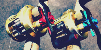 本日はビワコマリンオーナーズカップ2015に参加!! 16