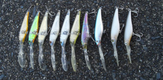 瀬田川へ (2015年 11月6日) 3