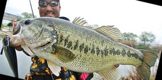 ニュースイムベイト"ダンクル"が発売!! (ジャッカル) 3