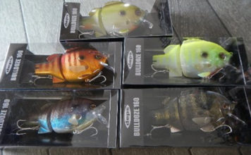 DEPSブルドーズ160入荷!! (BIGBASS) 