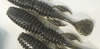 次なるスモールワームが公開!! (フラッシュユニオン) 1