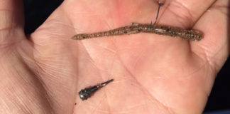 初冬の桧原湖攻略パターン!! (高梨洋平) 