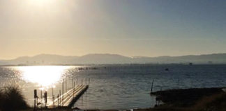 今日の琵琶湖 (by ビワエフ) 11月16日 1