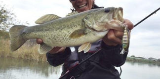 霞ヶ浦水系ではチャターが好調!! (馬場拓也) 1