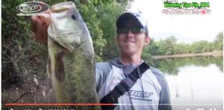 ドライブシャッド実釣解説!! (川村光大郎) 4