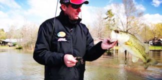 シーズナル攻略に必要な３つのポイント!! ~秋編~ (ケビンバンダム) 8