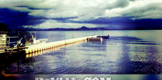 今日の琵琶湖 (by ビワエフ) 11月24日 1