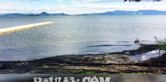 今日の琵琶湖 (by ビワエフ) 11月27日 1