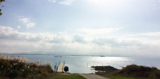 今日の琵琶湖 (by ビワエフ) 11月21日 1