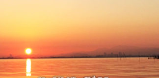 今日の琵琶湖 (by ビワエフ) 11月6日 1