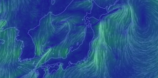 今日の琵琶湖 (11月17日) 1