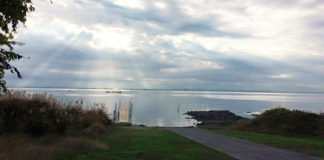 今日の琵琶湖 (by ビワエフ) 11月20日 2