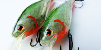 マッドペッパーマグナム・リペイント (ゴーストチャート/オレンジベリー) 2