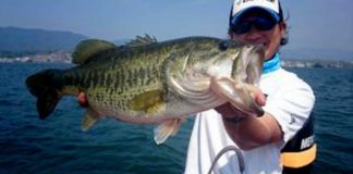 琵琶湖シャロー攻略!! ~秋編~ (西平守良) 3