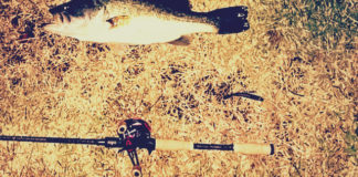 瀬田川釣果 バス51cm!! (bv六文銭) 2015年 1