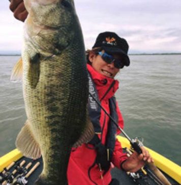 メタルゲーム入門!! (鉾立光) 3