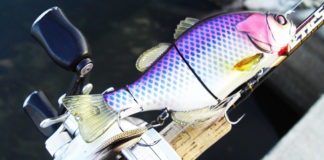 瀬田川へ (2015年 12月5日) 瀬田川ジグ pt.6 12