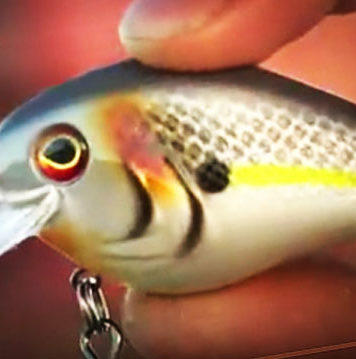 新しいクランクベイト”Wild Thang 8.5″ (ジャスティンルーカス)