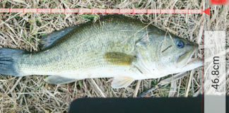 お客様からの釣果：中居様~クランクで46.8cm!!（リップラップガイド） 1