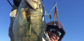 冬琵琶湖は水深4.5ｍ前後をアラバマで狙え!! (小田圭太) 2