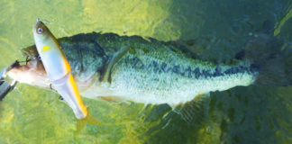 冬のビックベイトゲーム!! (狐坂隆人) 1