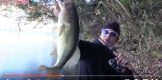 冬のバスをメタルバイブで攻略!! ~オカッパリ編~ (今江克隆) 1