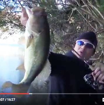 冬のバスをメタルバイブで攻略!! ~オカッパリ編~ (今江克隆) 1