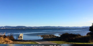 今日の琵琶湖 (by ビワエフ) 12月9日 1