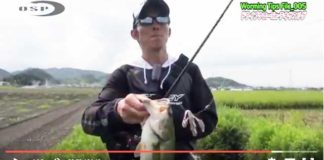 はじめてのバスフィッシング ~テキサスリグ編~ (川村光大郎) 2