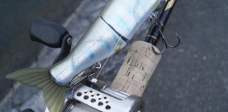 瀬田川へ (2015年 12月19日) 4