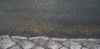 瀬田川へ (2015年 12月19日) 5