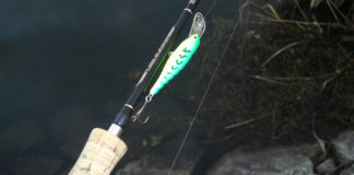 瀬田川へ (2015年 12月24日) 19