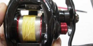 瀬田川へ (2016年 1月30日) 12