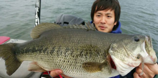 シャッドテールのダウンショットで６０!! (O.S.P inc) 