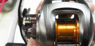 瀬田川へ (2016年 1月30日) 9