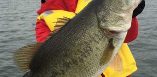 tweet釣果：メタルバイブで６０!! 