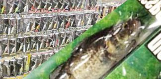 イマカツ＆ジャッカル製品入荷!! (つり具のブンブン大津店) 1