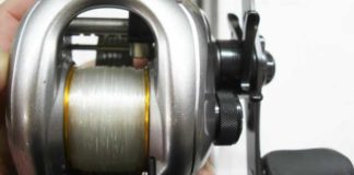 瀬田川へ (2016年 2月4日) 10