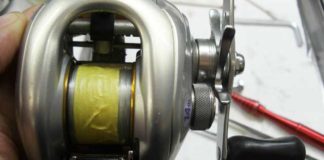 瀬田川へ (2016年 2月1日) 10