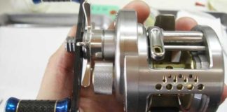 瀬田川へ (2016年 2月1日) 3